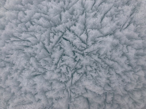 MOSAiC_a year in the Arctic_Allison Fong_23.jpeg
