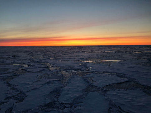 MOSAiC_a year in the Arctic_Allison Fong_37.jpeg
