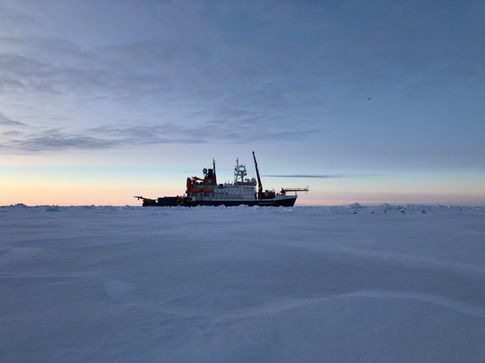 MOSAiC_a year in the Arctic_Allison Fong_33.jpeg