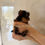 Miniatura: Louis Micro Teacup  Yorkshire Terrier