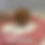 サムネイル： Macaron Micro Teacup Poodle