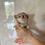 Küçük resim: GINGA Micro 〜 Teacup Chihuahua