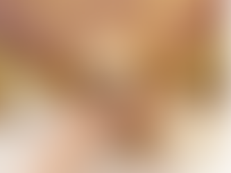 Toy Poodle Puppies for Sale Georgia. Find Your Perfect Fluffy Companion