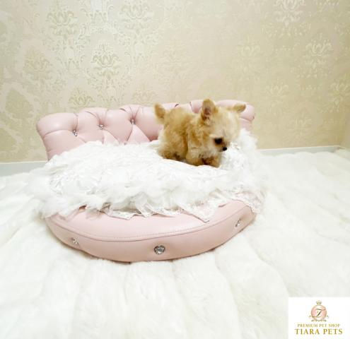 Thumbnail: RUNO Micro Teacup Chi-poo