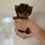 サムネイル： ANZU Micro Teacup Yorkshire Terrier