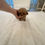 Miniatura: Kirara Royal Super Micro Teacup Poodle