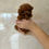 Miniatura: Marina Micro Teacup Poodle