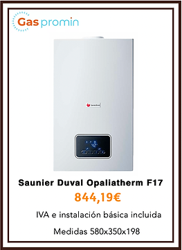 Saunier duval opaliatherm f 17.png
