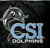 csi logo_edited.jpg