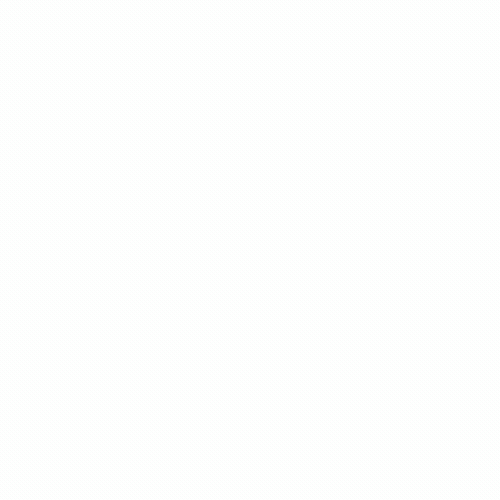 Logo_Animation_4.gif