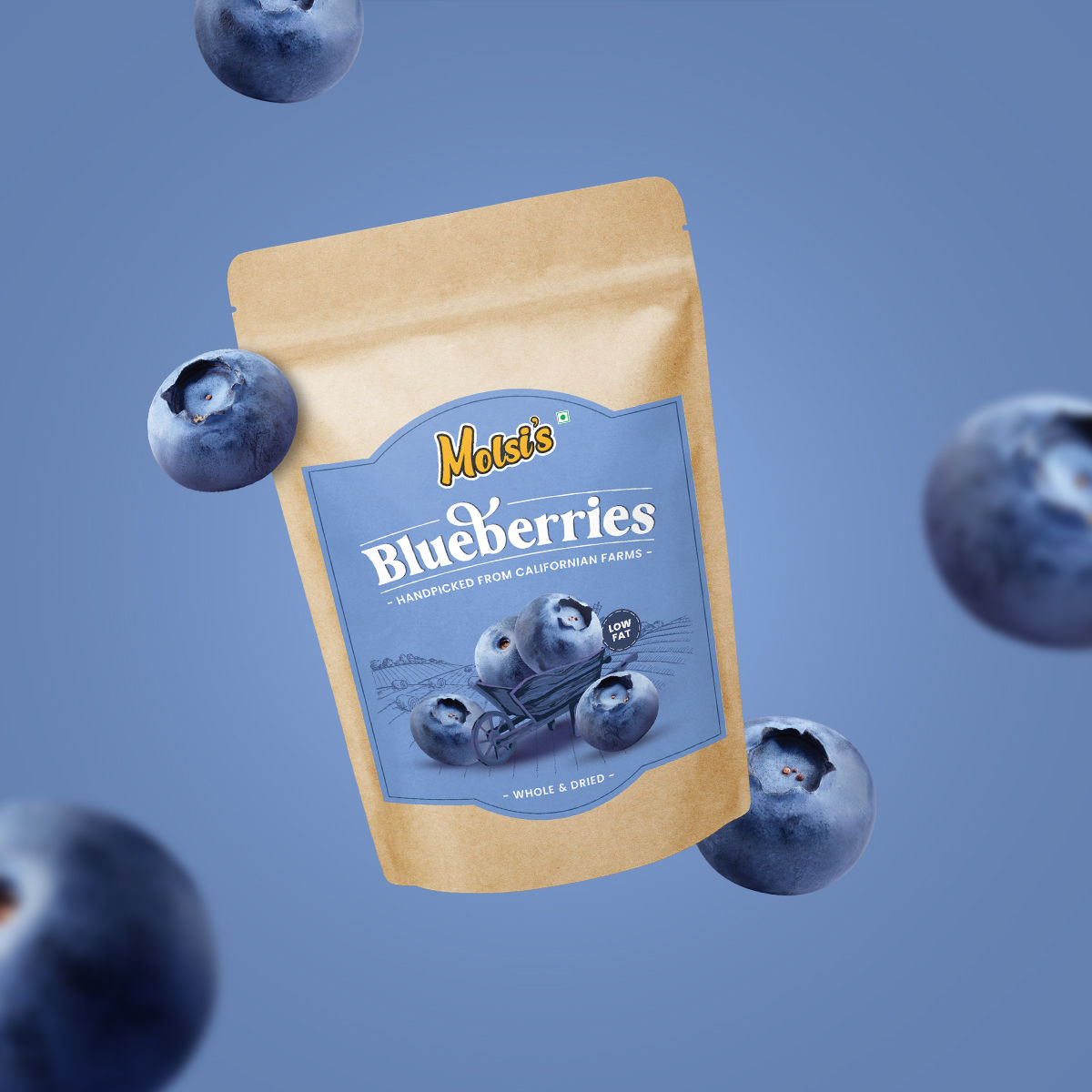 bluberry flying