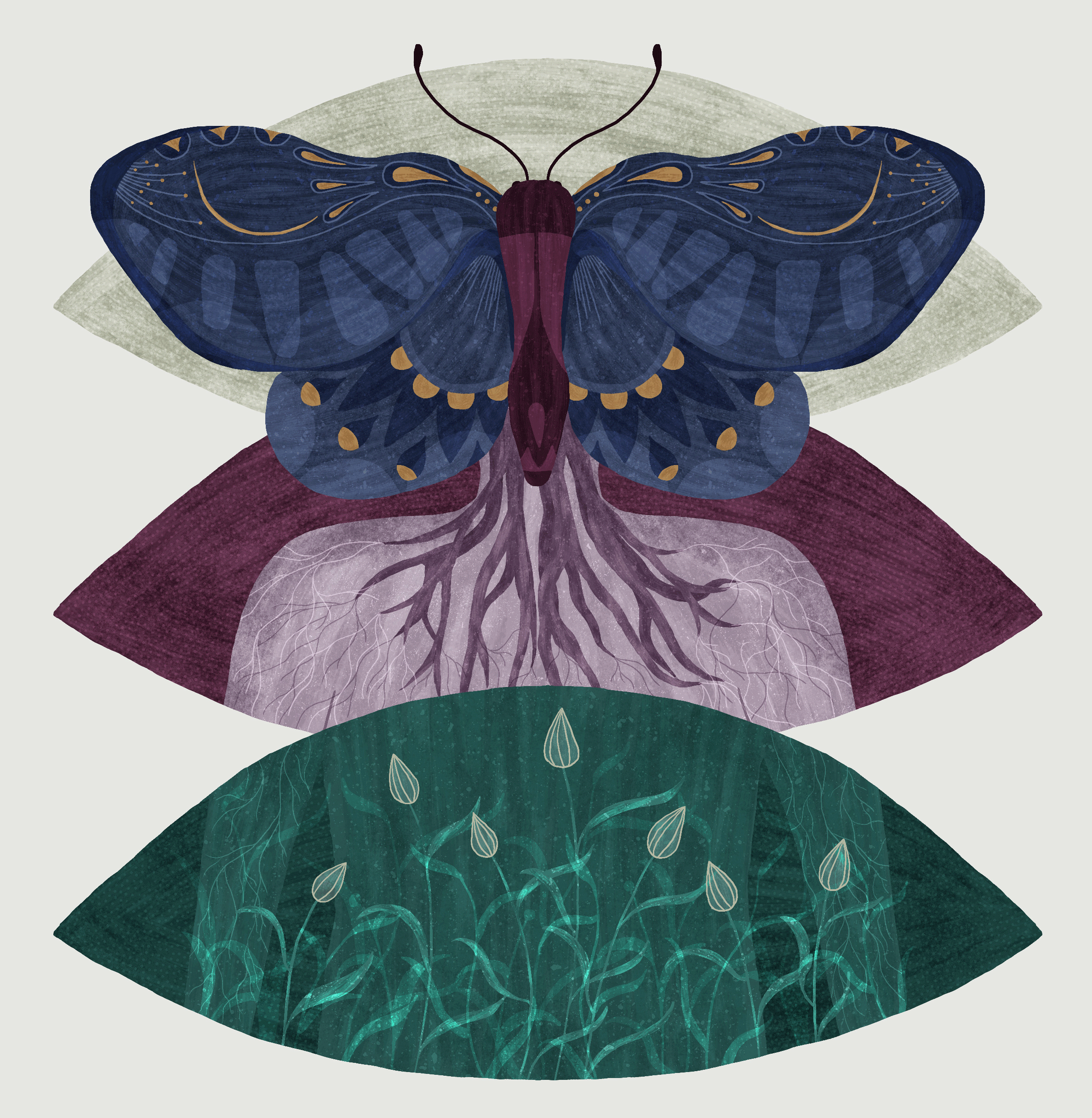 Chrysalis - Editorial