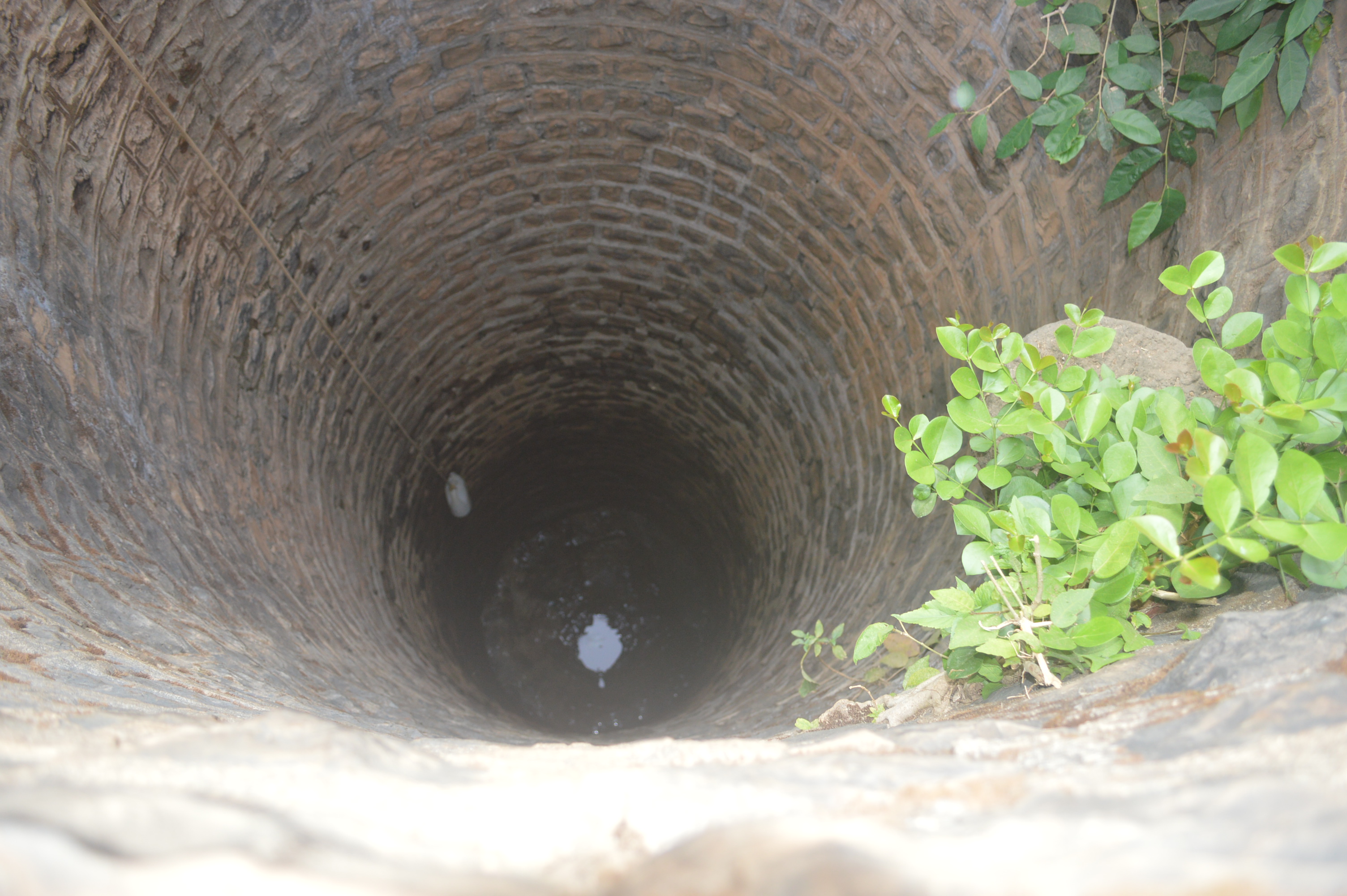 Sadarpada Village, Nashik district