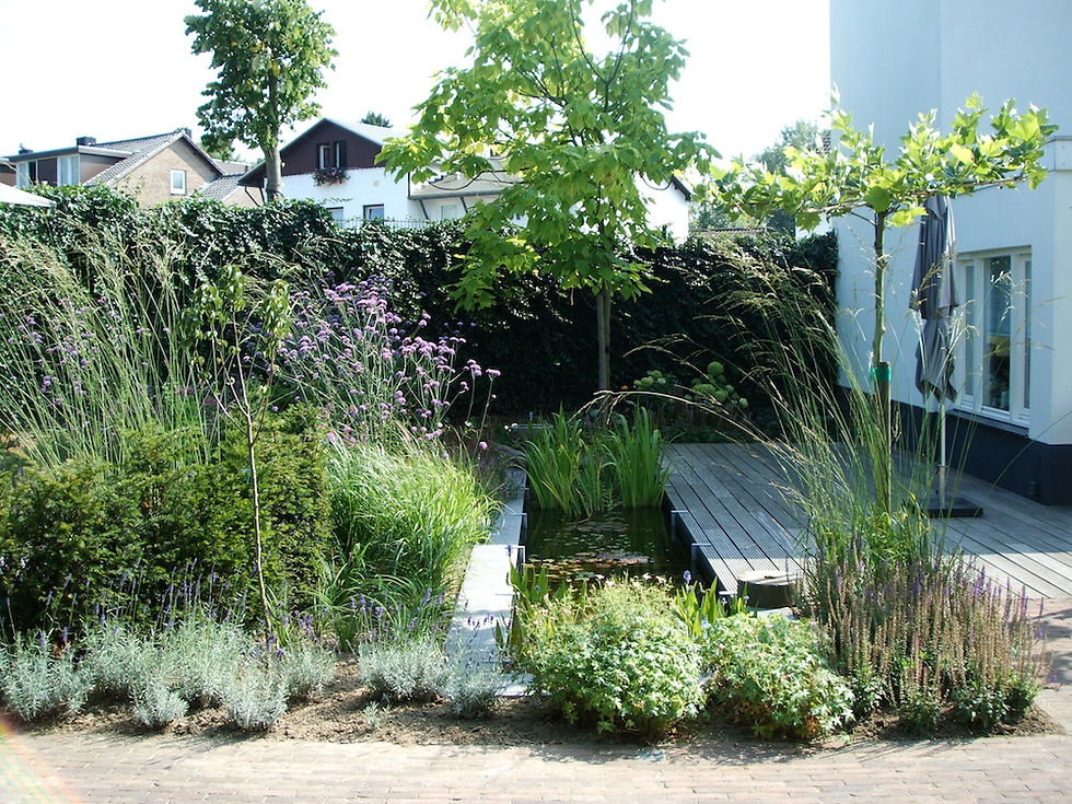 Garden South of Holland