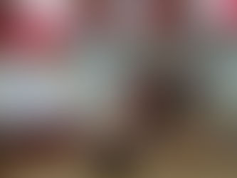 Декада добрососедства в Центре активных людей п.Фролищи