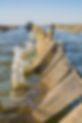 Amexo viaje 01-65.jpg