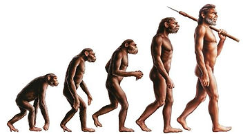 8 evolución.jpeg