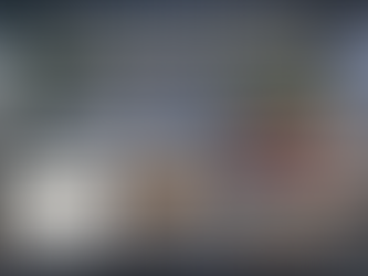 Book Your Roof Inspection or Storm Assessment Today: 708-371-9000