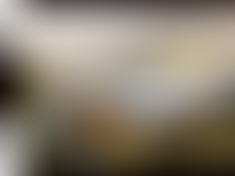 TPO flat roof with proper drainage and waterproofing details