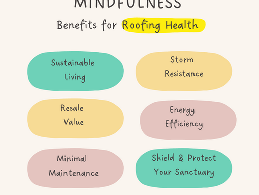 Exterior Excellence: Elevating Comfort, Sustainability, and Safety with Mindful Roofing and Siding