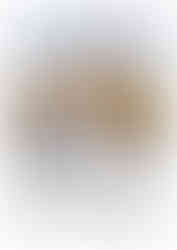 Tate Modern with Descriptive Text