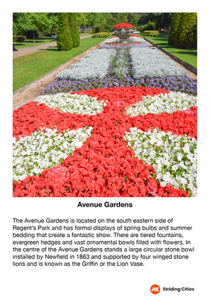 Avenue gardens Flower Display - Regent's Park
