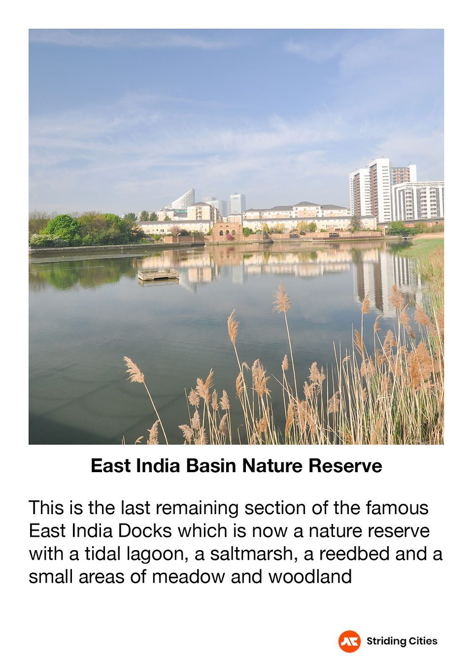 East India Basin Nature Reserve