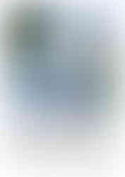 Customs House Riverside View