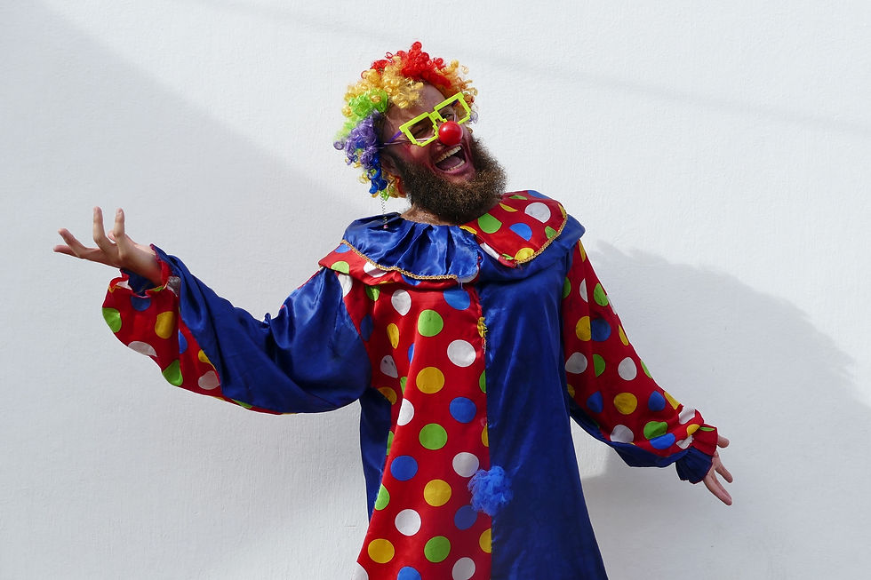 Carnaval de São Luiz do Paraitinga - Emidio Luisi