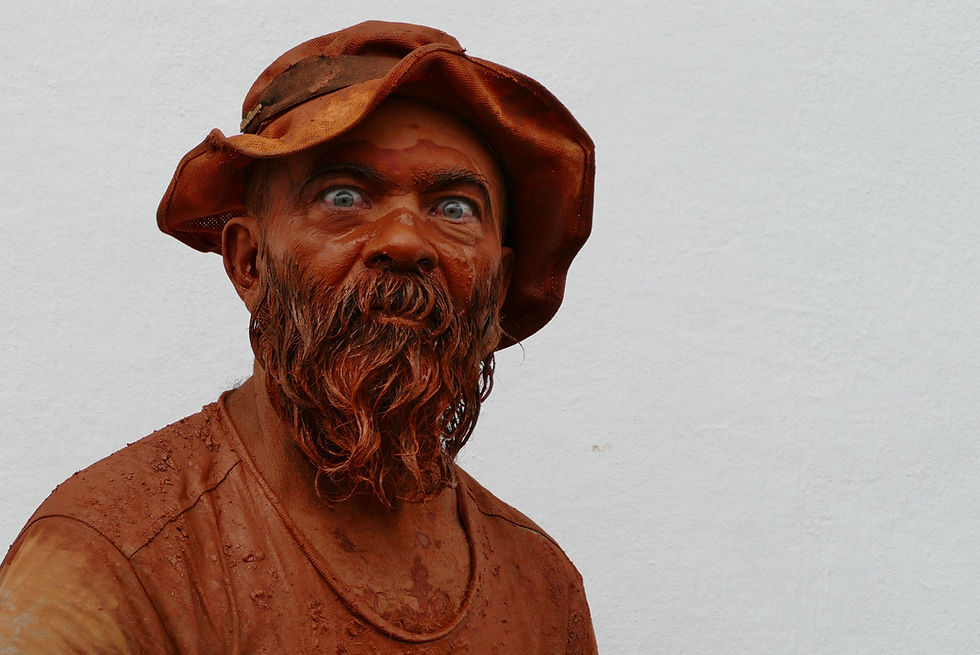 Carnaval de São Luiz do Paraitinga - Emidio Luisi