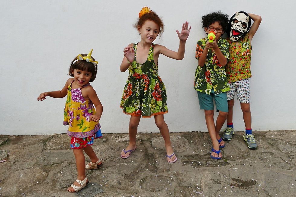 Carnaval de São Luiz do Paraitinga - Emidio Luisi