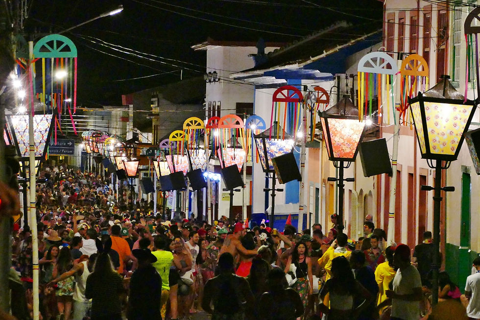 Carnaval de São Luiz do Paraitinga - Emidio Luisi