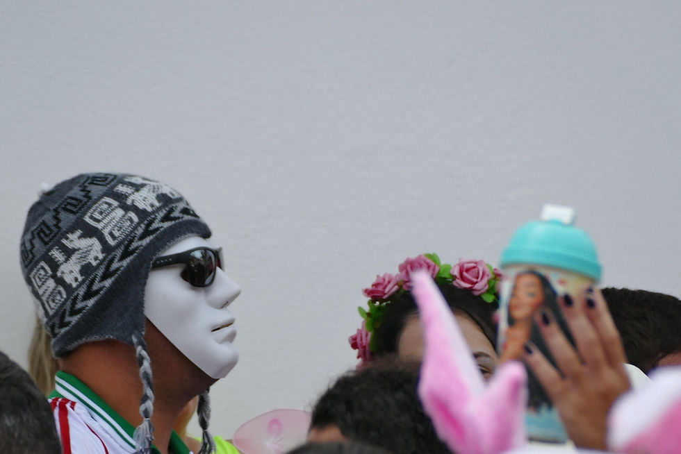 Carnaval de São Luiz do Paraitinga - Emidio Luisi