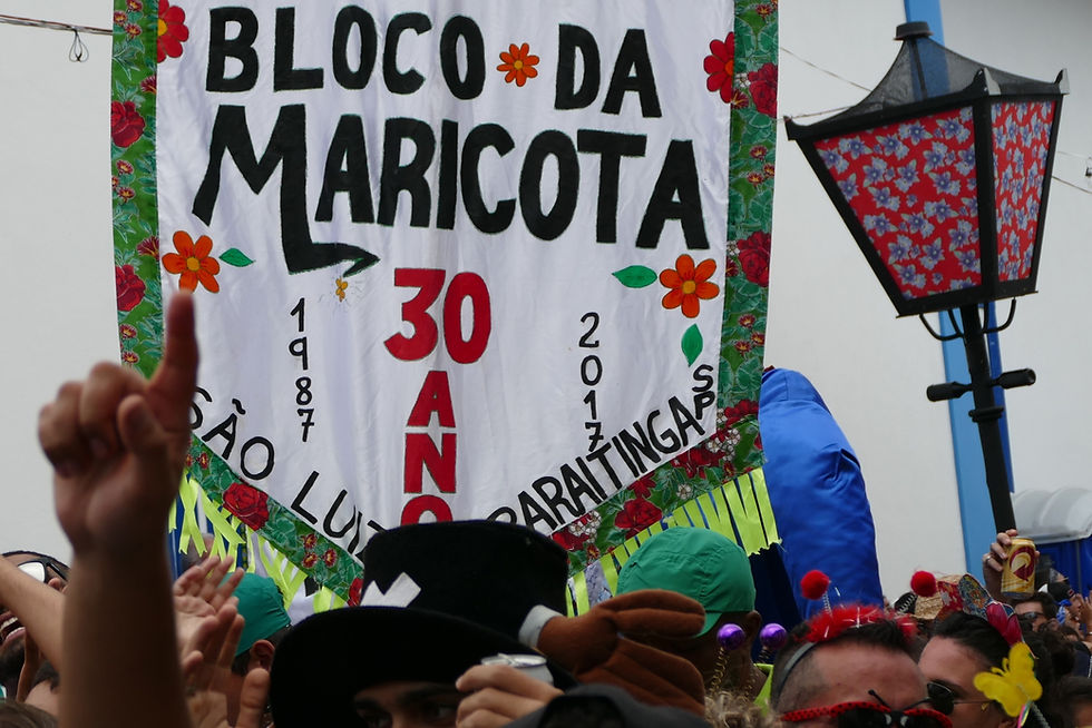 Carnaval de São Luiz do Paraitinga - Emidio Luisi