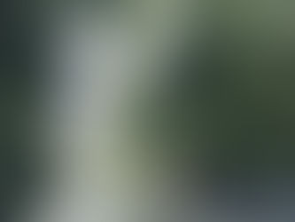 Client Profiles: Andrew Zaeh