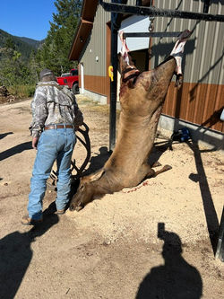 82714ffd-1b07-4ca6-965b-0138d8bcf5ec