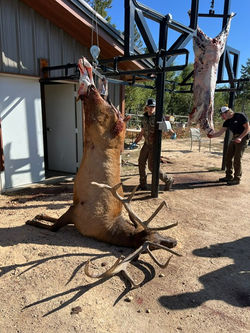 bb39800a-6366-408a-bee5-8572bdb51743