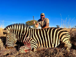 82262875-521c-4d18-b60c-36f2c47899c8