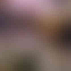 Hochzeit im Bootshaus Oberhausen - Foto des Saals 2