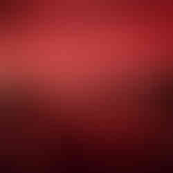 Hochzeit im Bootshaus Oberhausen - Foto - Freie Trauung & Sektempfang 2