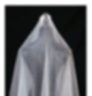 Two Tier Shimmer Cut Edge Cathedral Veil