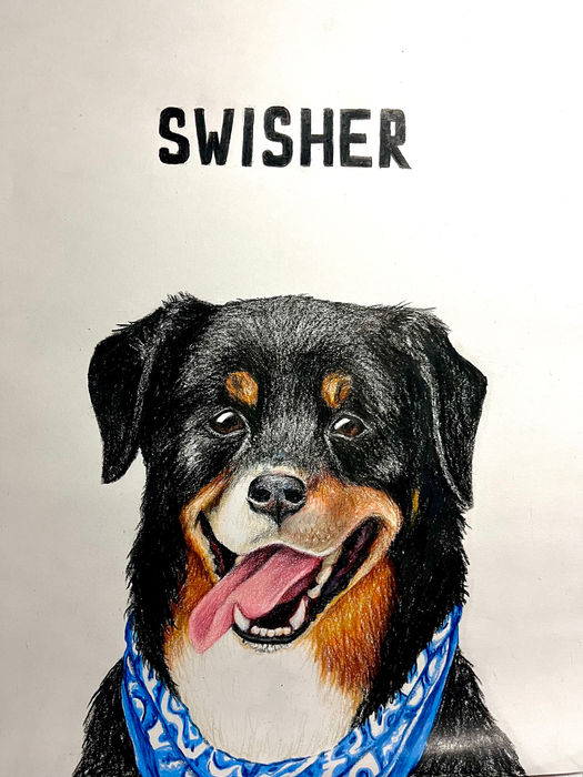 Swisher Drawing