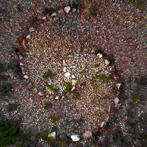 Spiral 3