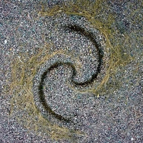 Spiral 14