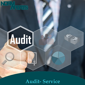 Insta Audit .png