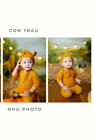 chup-anh-cho-be-thoi-noi-1-tuoi-nhu-photo-chup-anh-long-an-concept-con-trau (1).jpg
