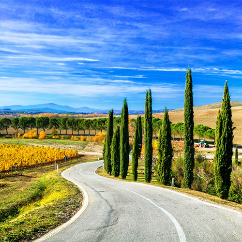 Chianti Wine Region