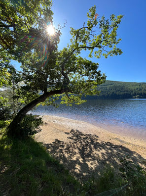 Scottish Highlands scenery