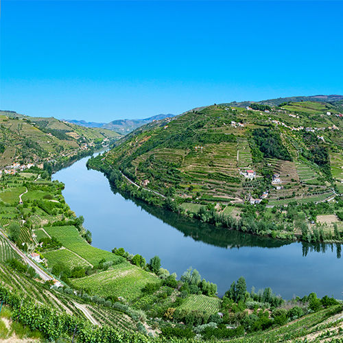 Douro River at Mesão Frio
