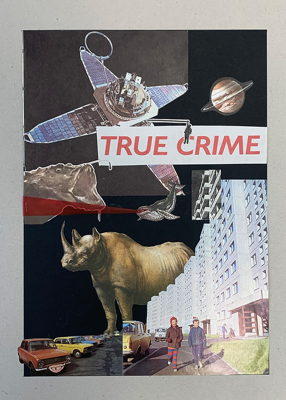 true crime.jpeg